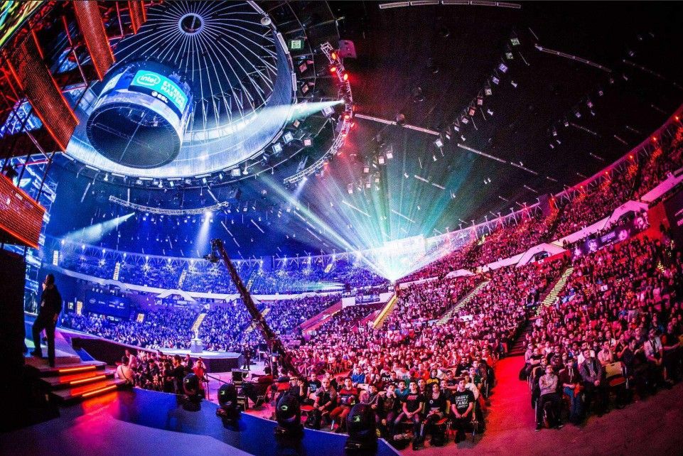 品牌应把握 品牌应把握